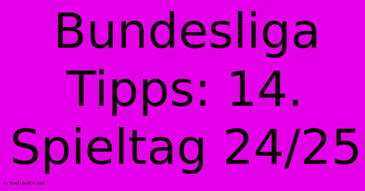 Bundesliga Tipps: 14. Spieltag 24/25