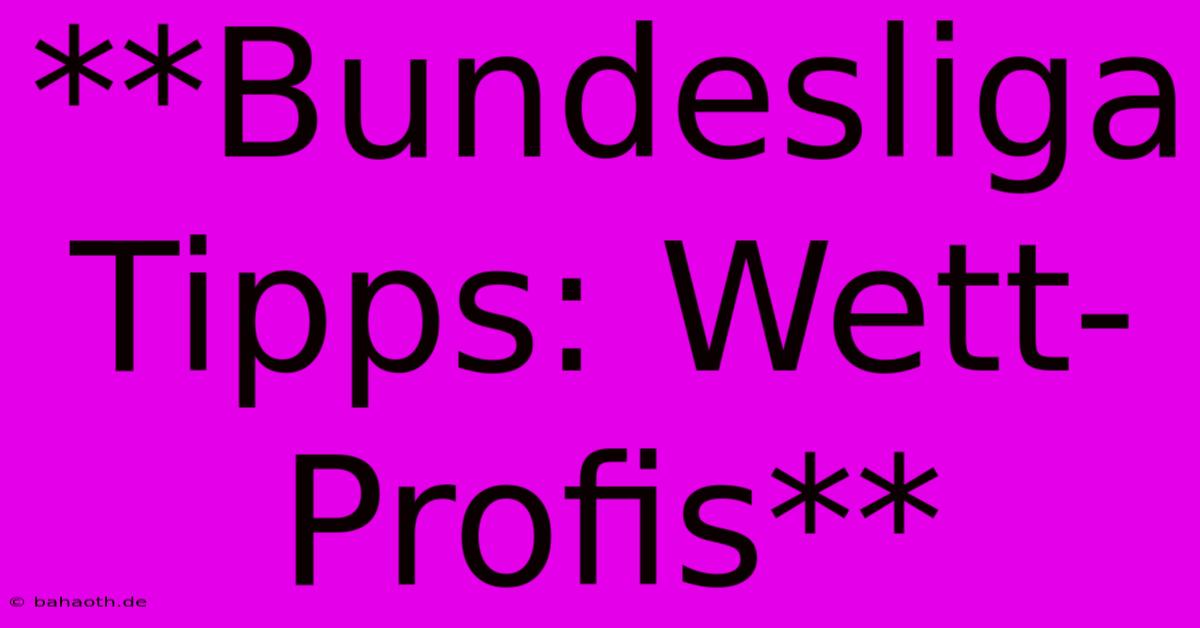 **Bundesliga Tipps: Wett-Profis**