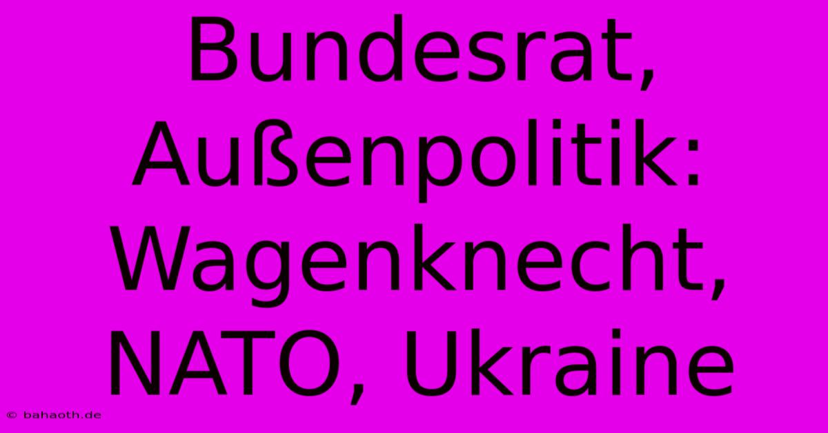 Bundesrat, Außenpolitik: Wagenknecht, NATO, Ukraine