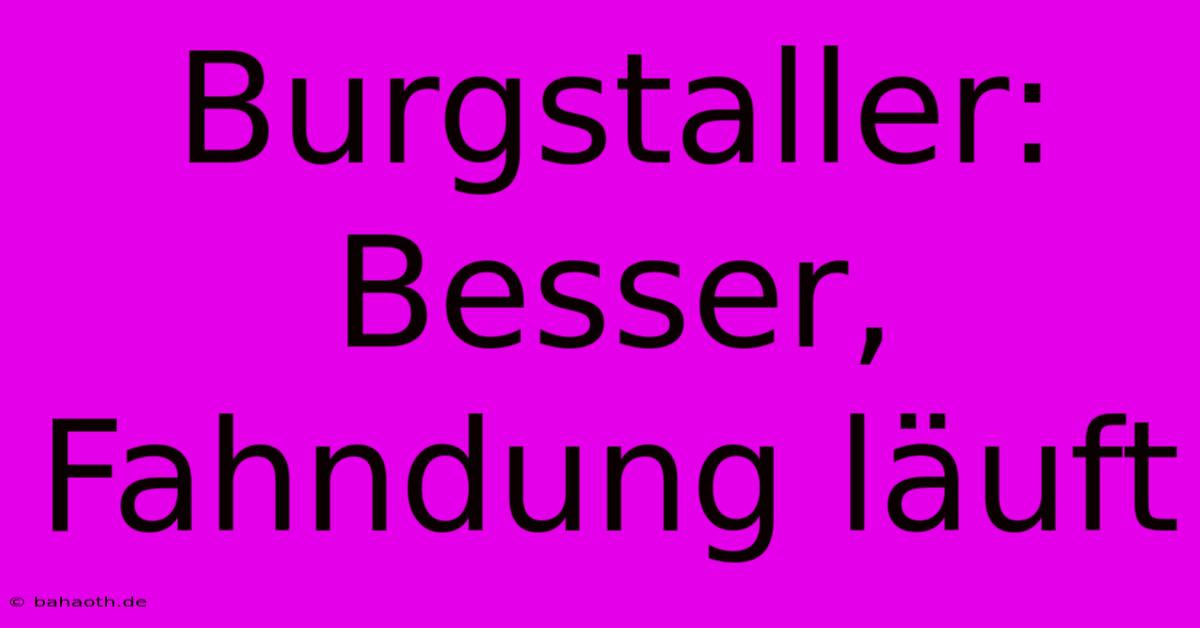 Burgstaller: Besser, Fahndung Läuft