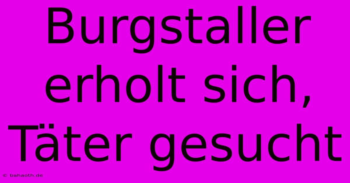 Burgstaller Erholt Sich, Täter Gesucht