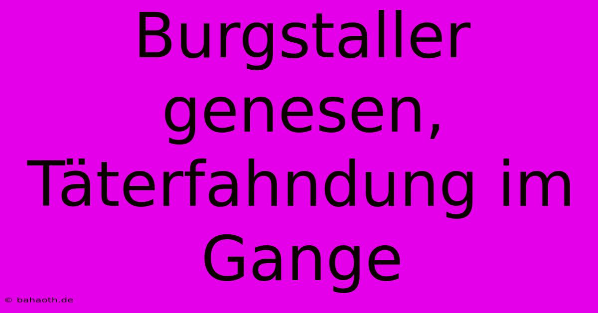 Burgstaller Genesen, Täterfahndung Im Gange