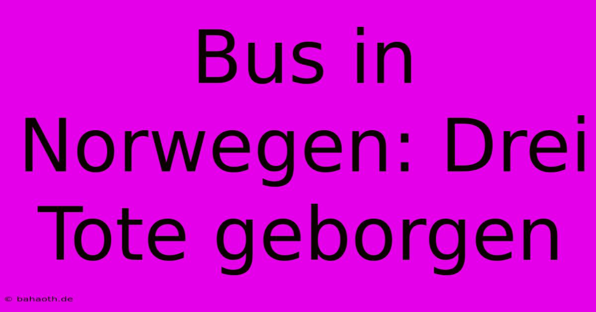 Bus In Norwegen: Drei Tote Geborgen