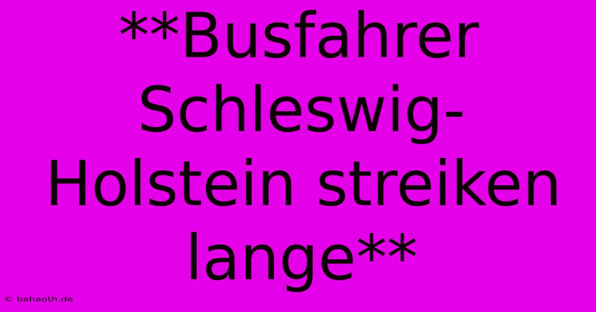 **Busfahrer Schleswig-Holstein Streiken Lange**