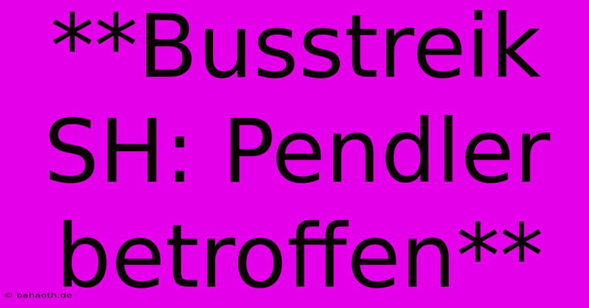 **Busstreik SH: Pendler Betroffen**