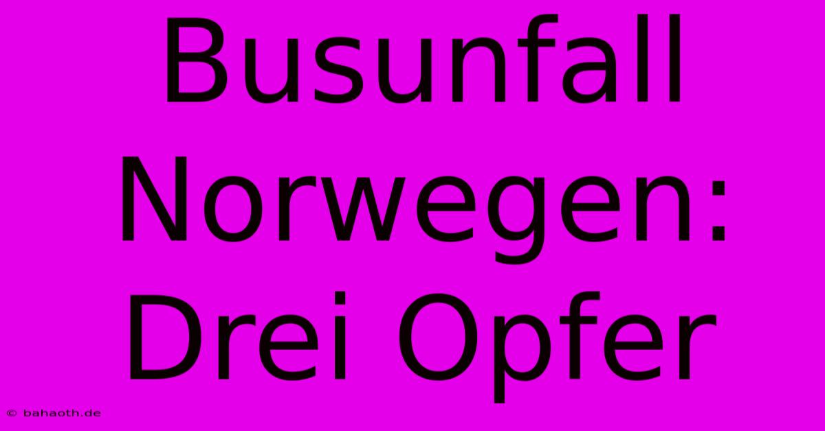 Busunfall Norwegen: Drei Opfer