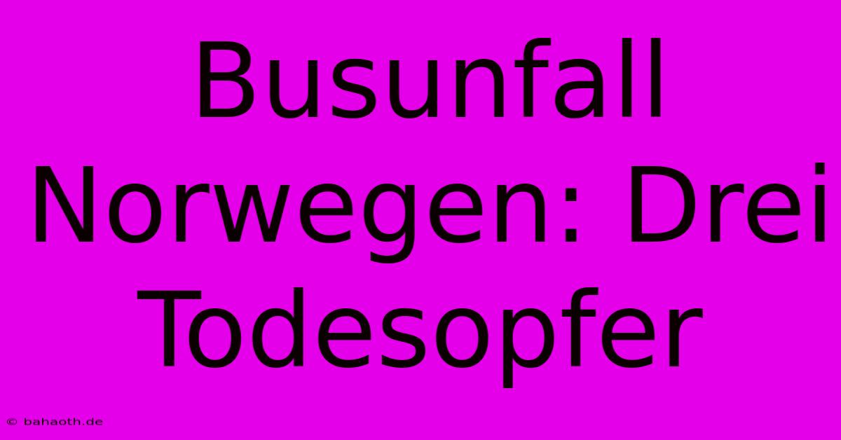 Busunfall Norwegen: Drei Todesopfer