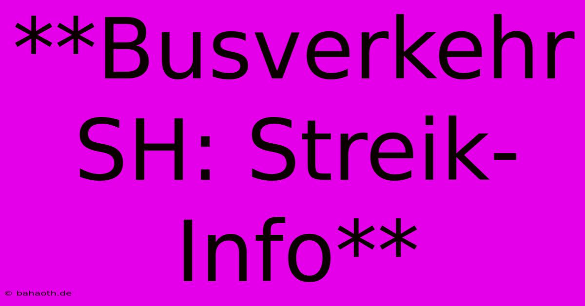 **Busverkehr SH: Streik-Info**