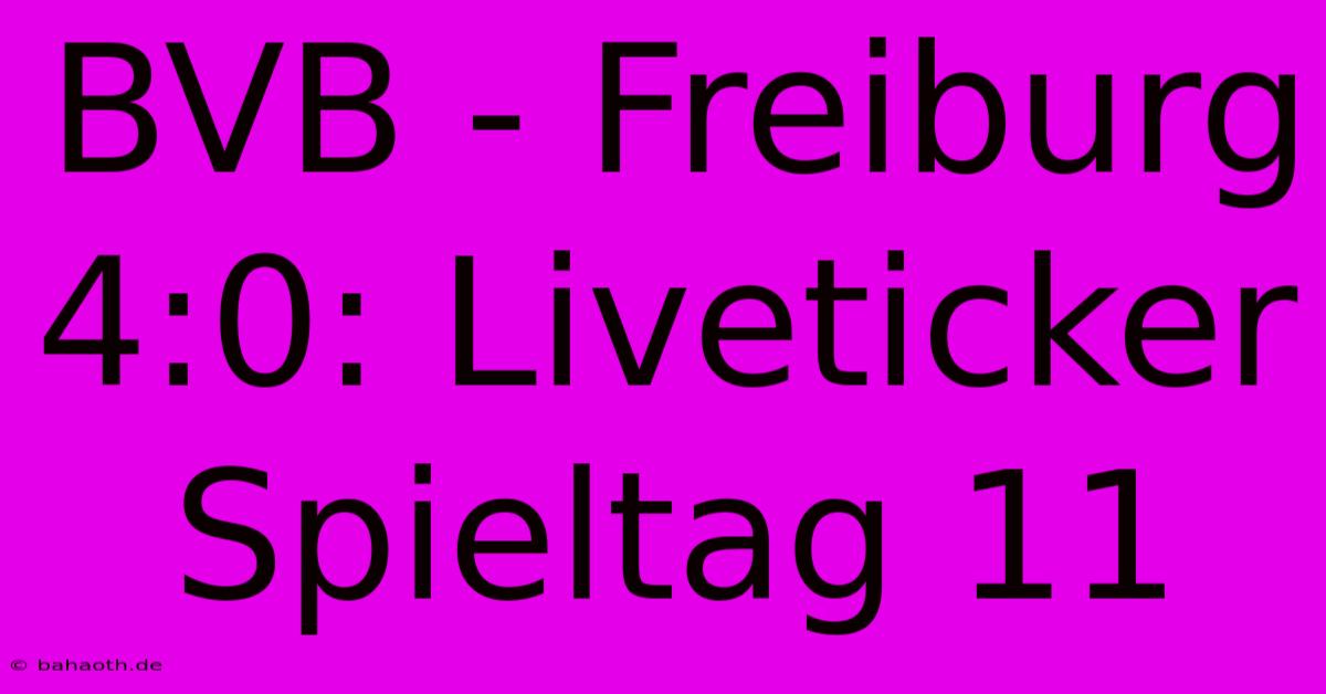 BVB - Freiburg 4:0: Liveticker Spieltag 11