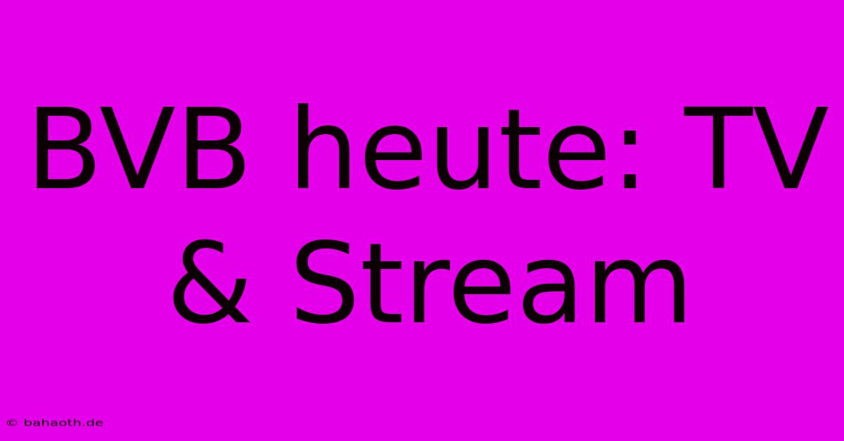 BVB Heute: TV & Stream