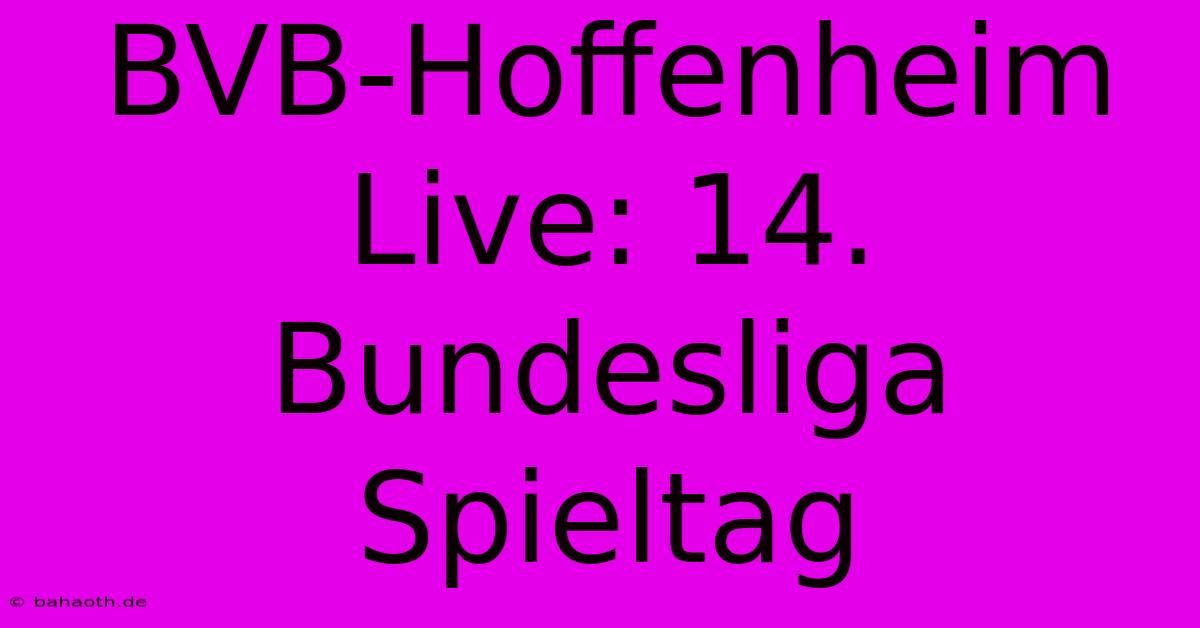 BVB-Hoffenheim Live: 14. Bundesliga Spieltag