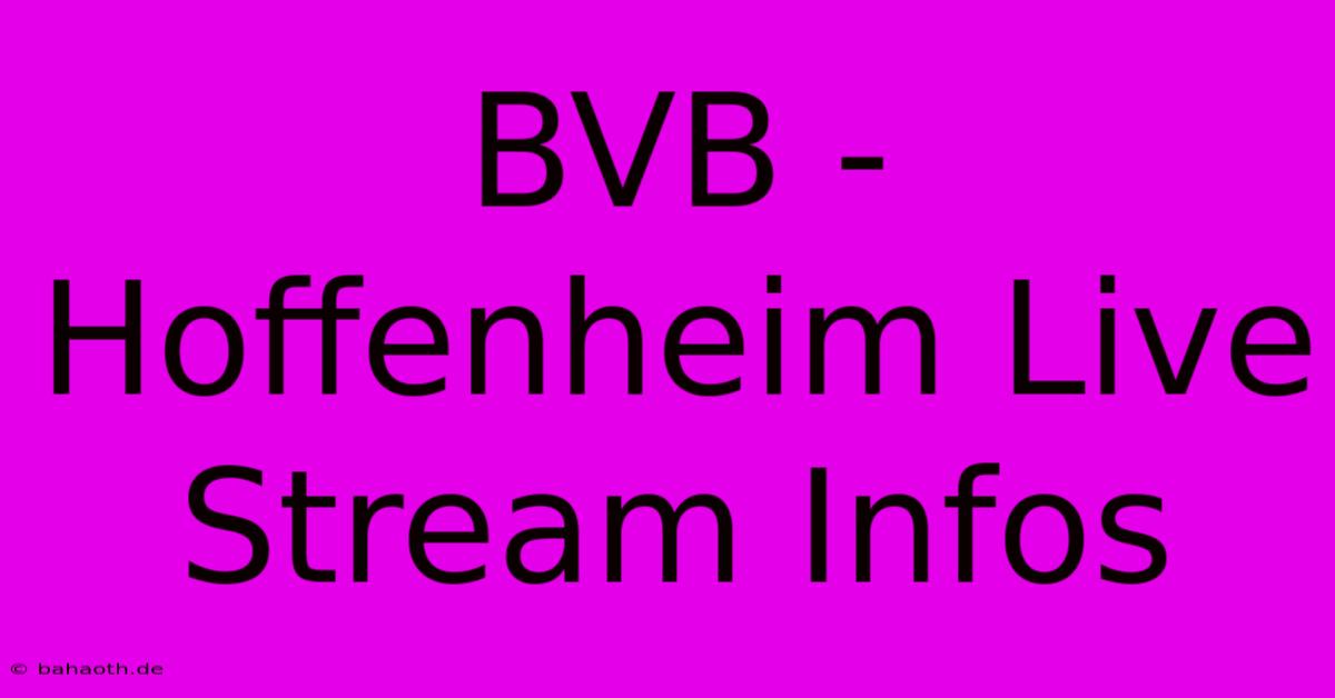 BVB - Hoffenheim Live Stream Infos