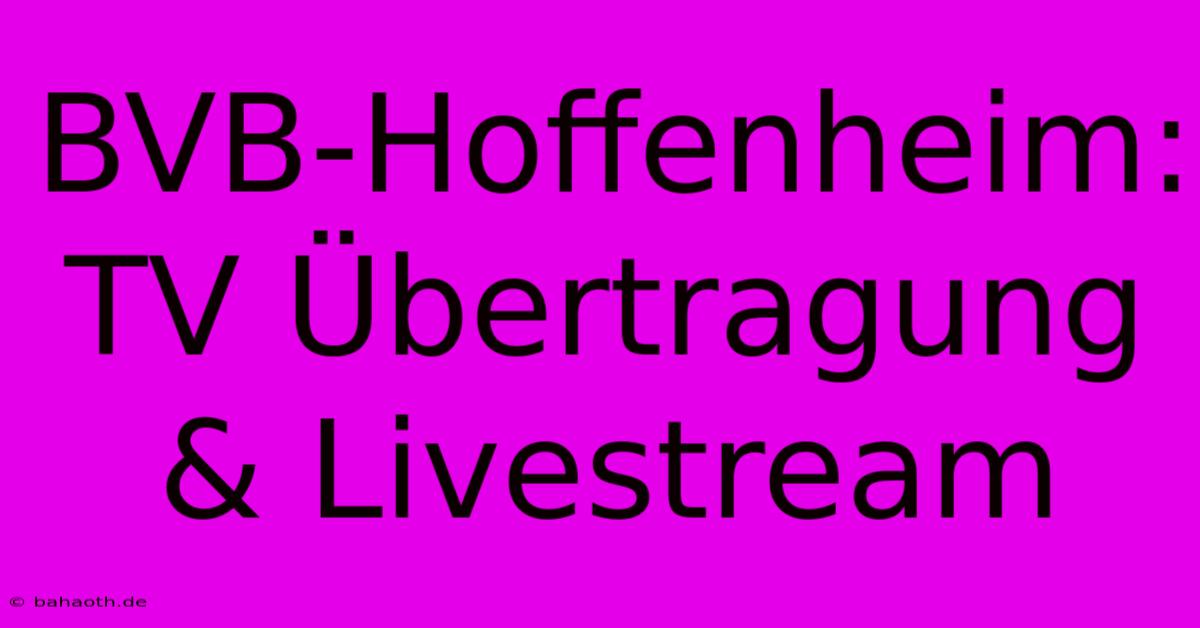 BVB-Hoffenheim: TV Übertragung & Livestream