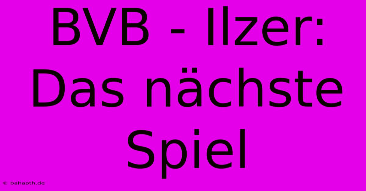 BVB - Ilzer: Das Nächste Spiel