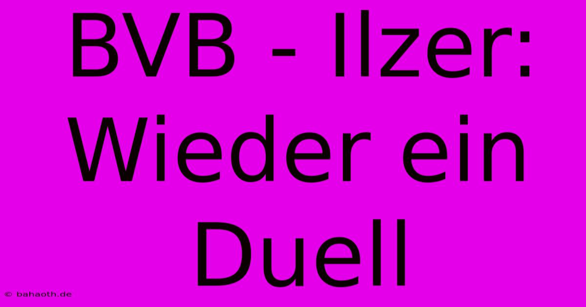 BVB - Ilzer: Wieder Ein Duell