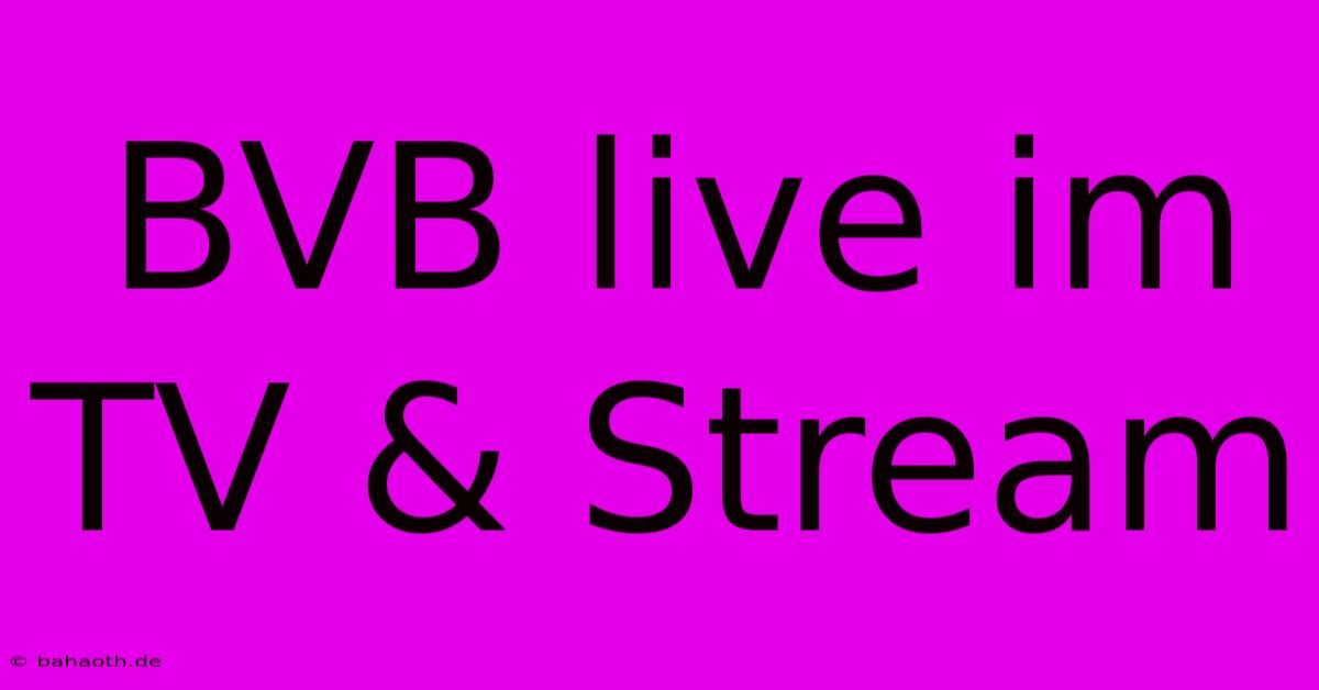 BVB Live Im TV & Stream