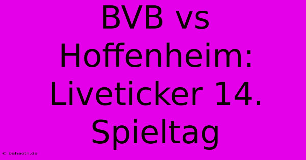 BVB Vs Hoffenheim: Liveticker 14. Spieltag