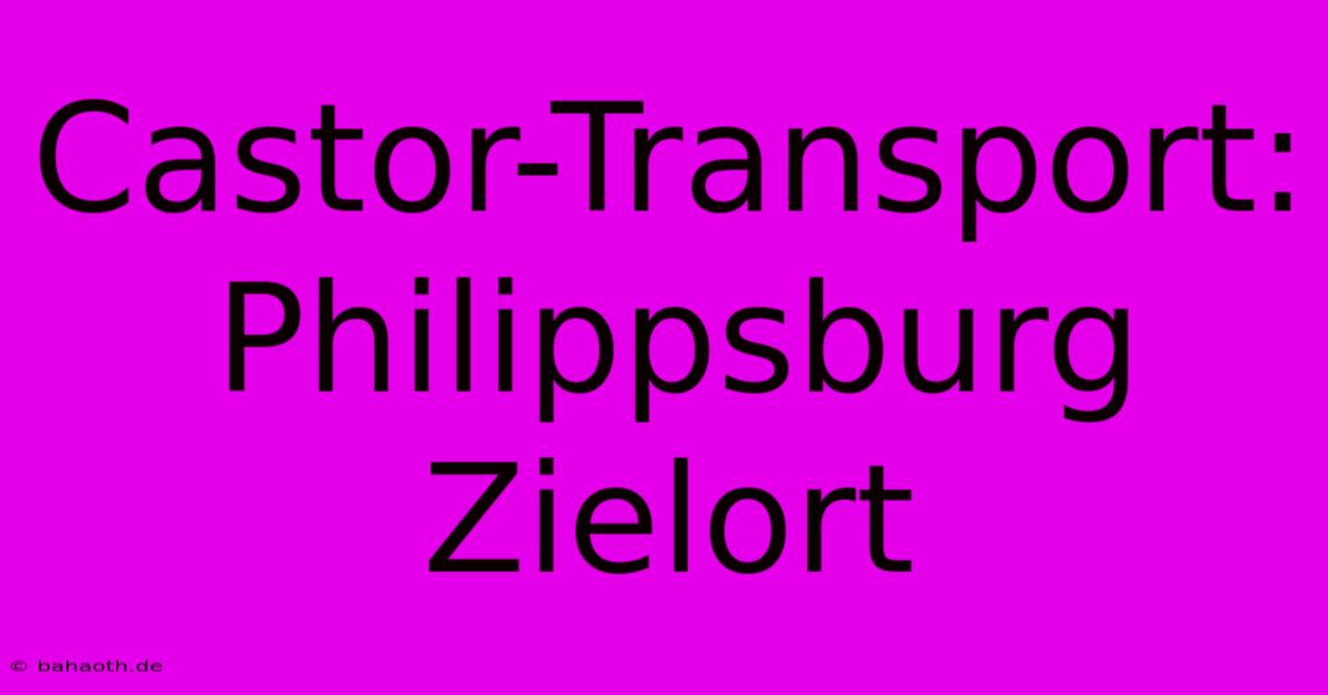 Castor-Transport: Philippsburg Zielort