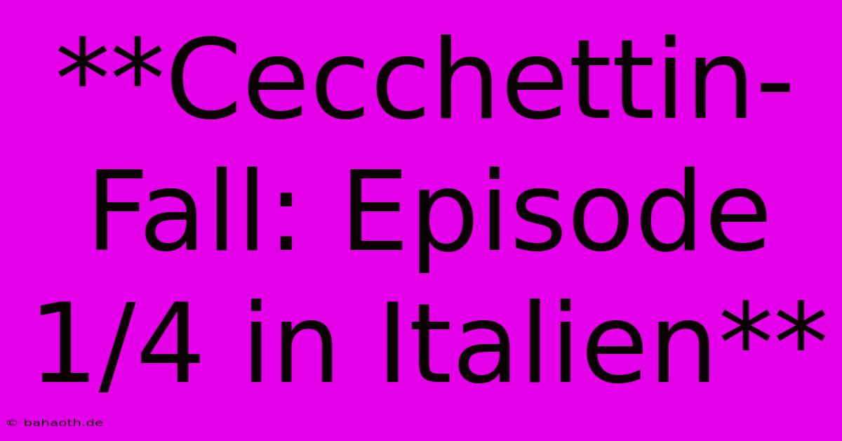 **Cecchettin-Fall: Episode 1/4 In Italien**