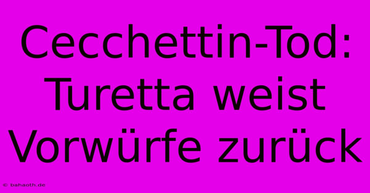 Cecchettin-Tod: Turetta Weist Vorwürfe Zurück