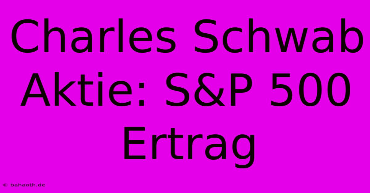 Charles Schwab Aktie: S&P 500  Ertrag