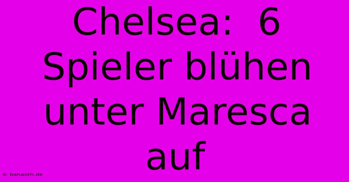 Chelsea:  6 Spieler Blühen Unter Maresca Auf