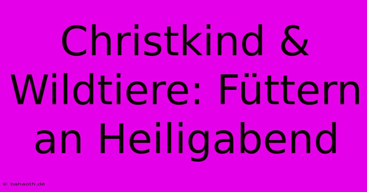 Christkind & Wildtiere: Füttern An Heiligabend