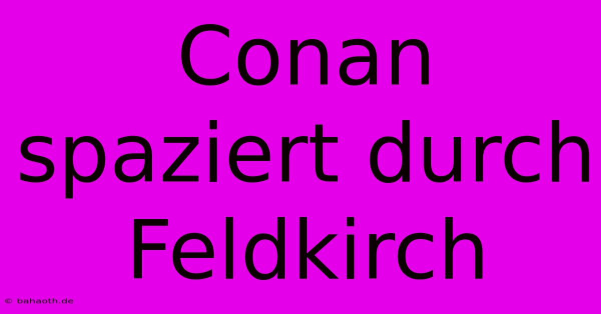 Conan Spaziert Durch Feldkirch