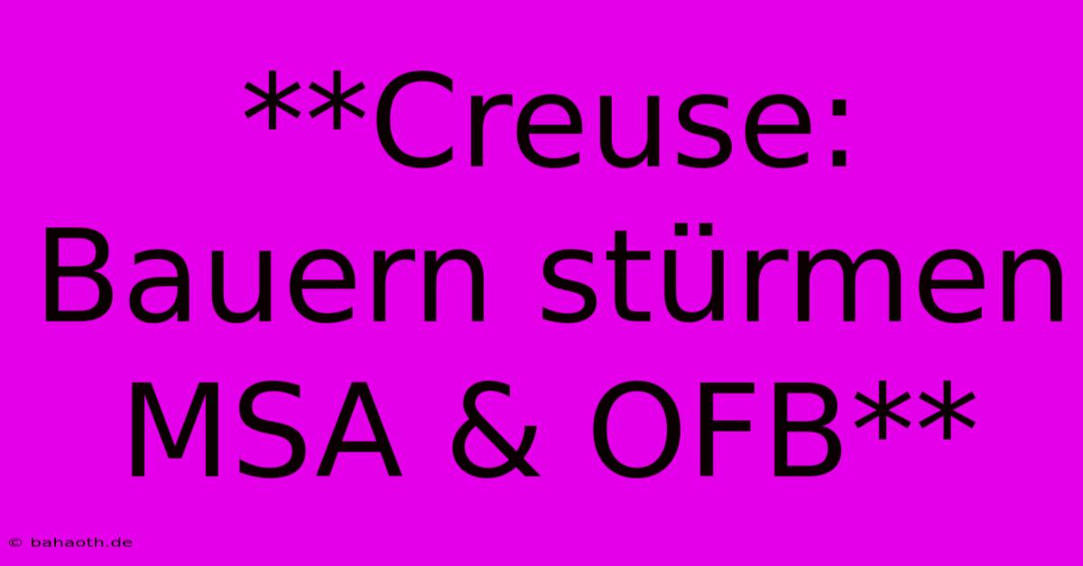 **Creuse: Bauern Stürmen MSA & OFB**