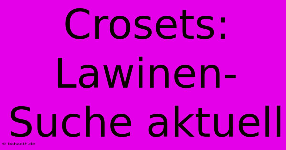 Crosets: Lawinen-Suche Aktuell