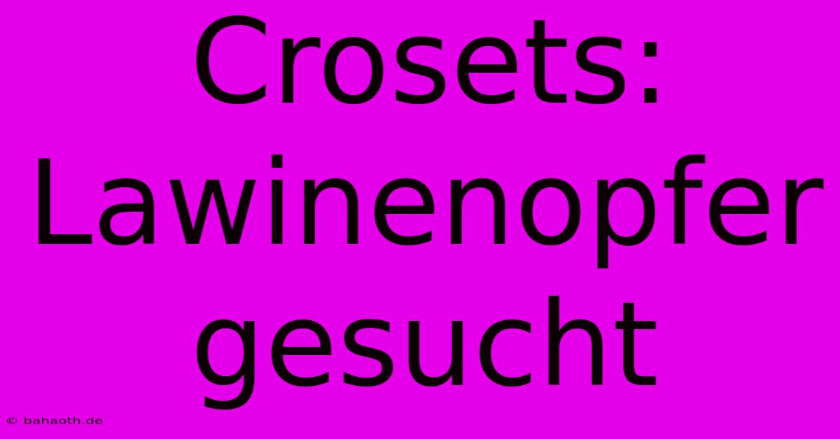 Crosets: Lawinenopfer Gesucht