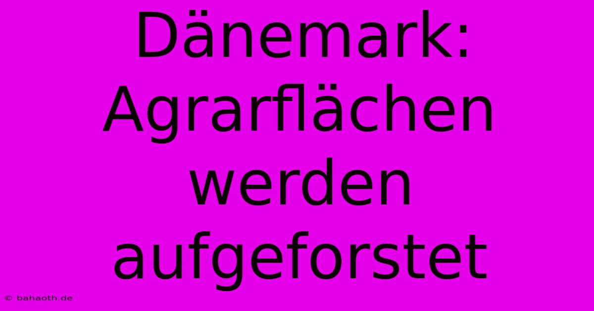 Dänemark:  Agrarflächen Werden Aufgeforstet