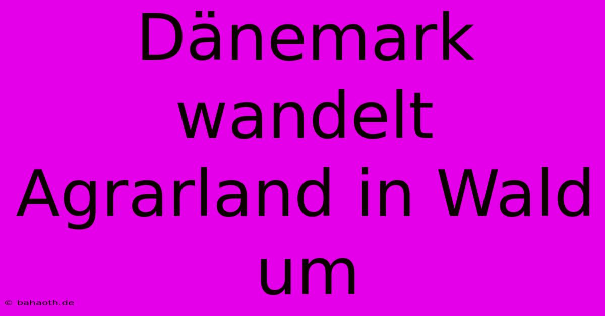 Dänemark Wandelt Agrarland In Wald Um