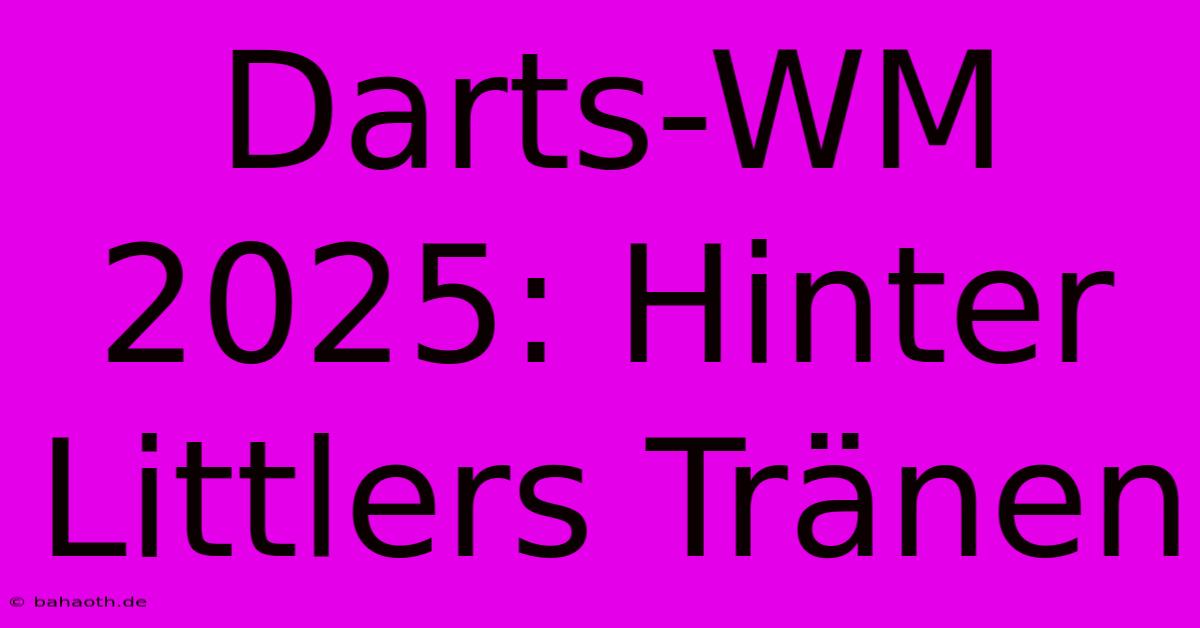 Darts-WM 2025: Hinter Littlers Tränen