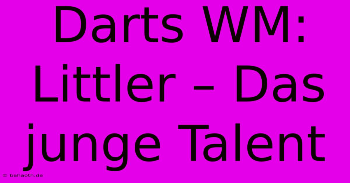 Darts WM: Littler – Das Junge Talent