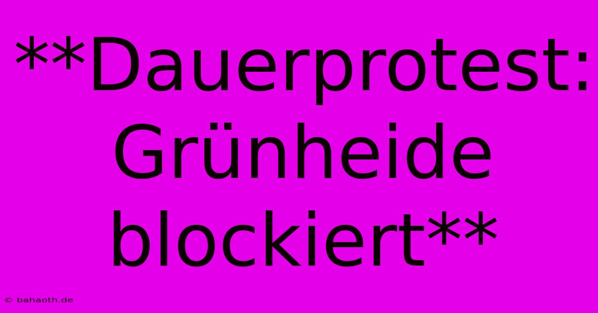 **Dauerprotest: Grünheide Blockiert**