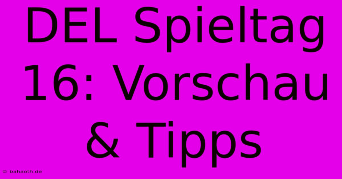 DEL Spieltag 16: Vorschau & Tipps