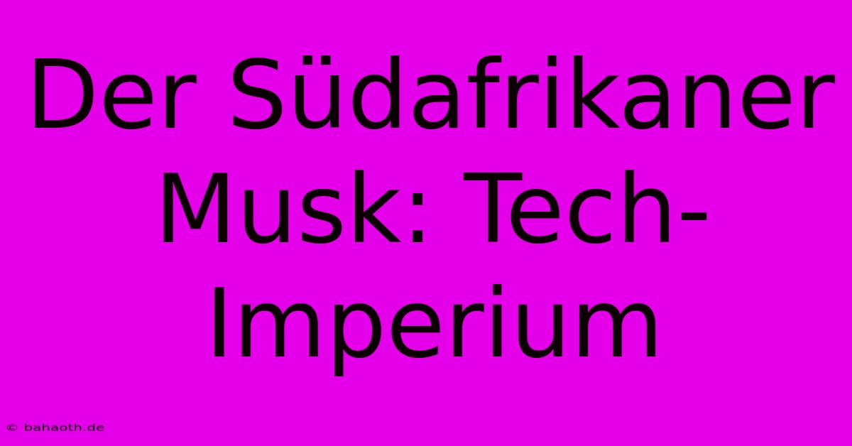 Der Südafrikaner Musk: Tech-Imperium