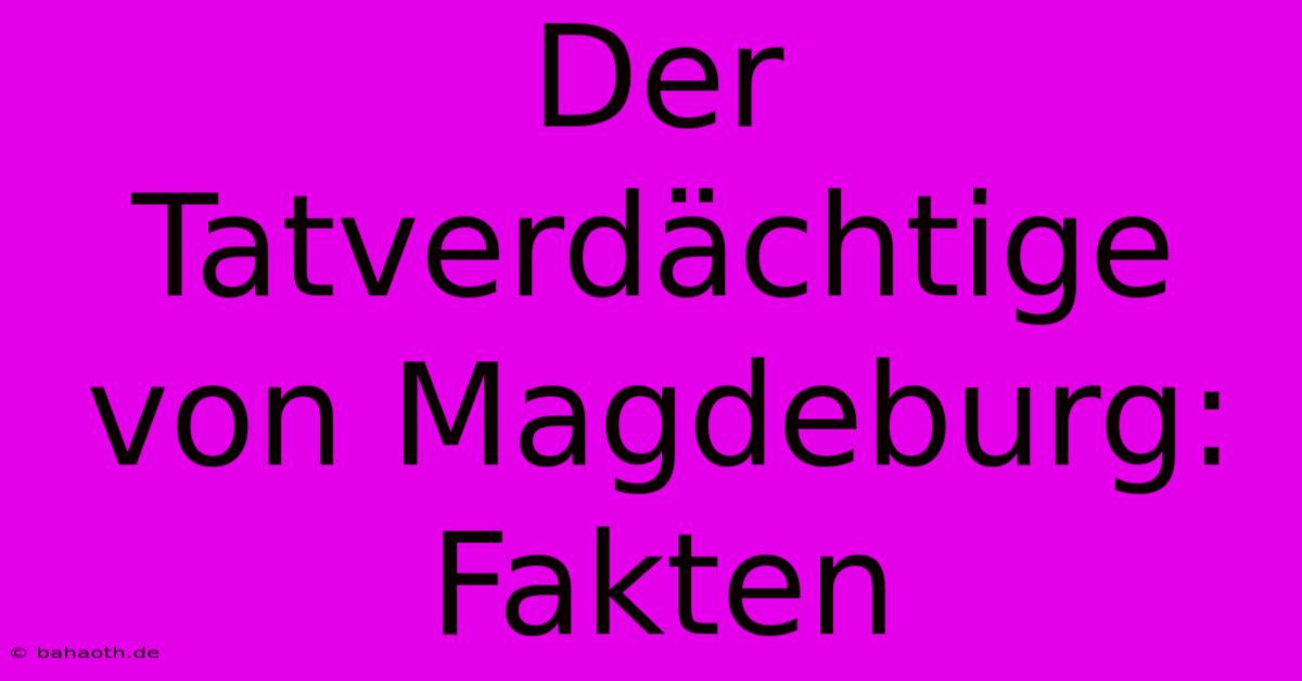 Der Tatverdächtige Von Magdeburg: Fakten