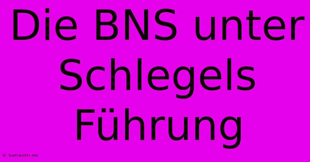 Die BNS Unter Schlegels Führung