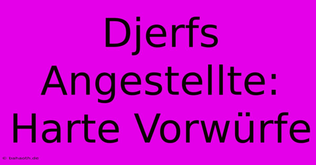 Djerfs Angestellte: Harte Vorwürfe