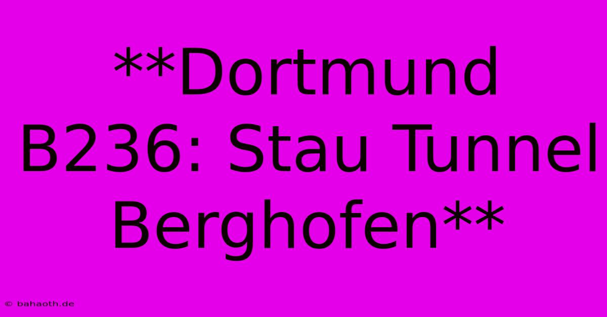 **Dortmund B236: Stau Tunnel Berghofen**