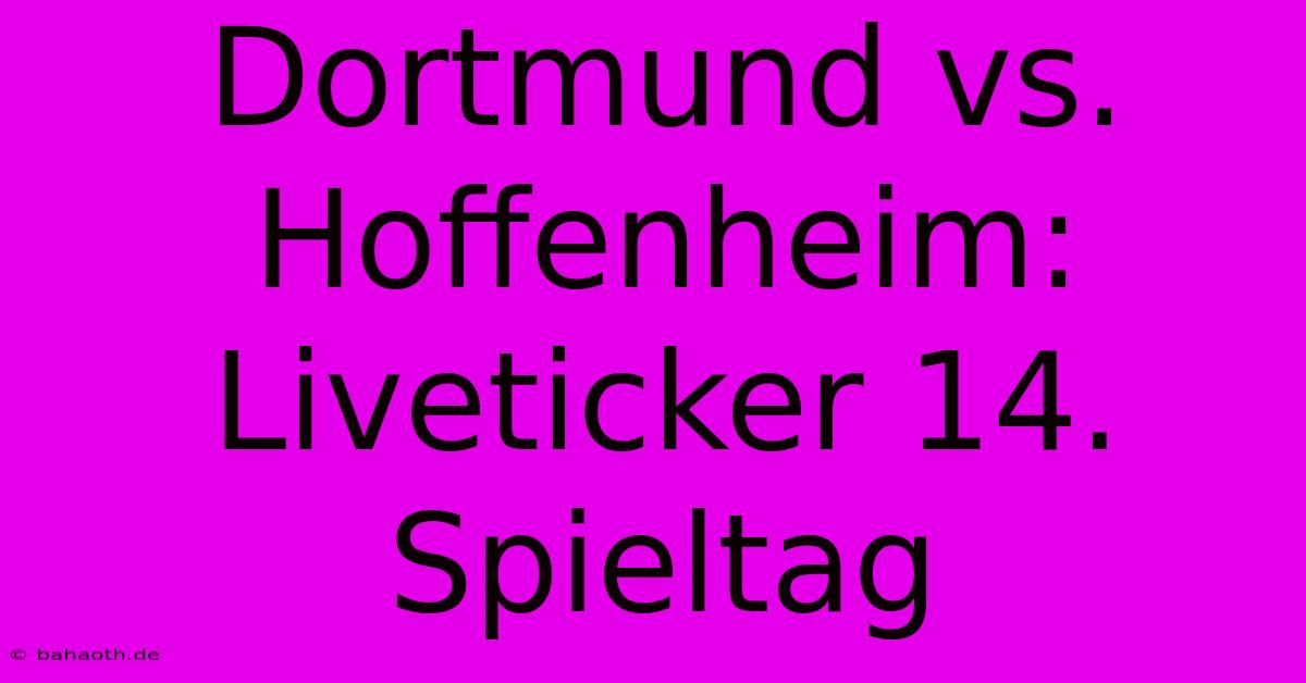 Dortmund Vs. Hoffenheim: Liveticker 14. Spieltag