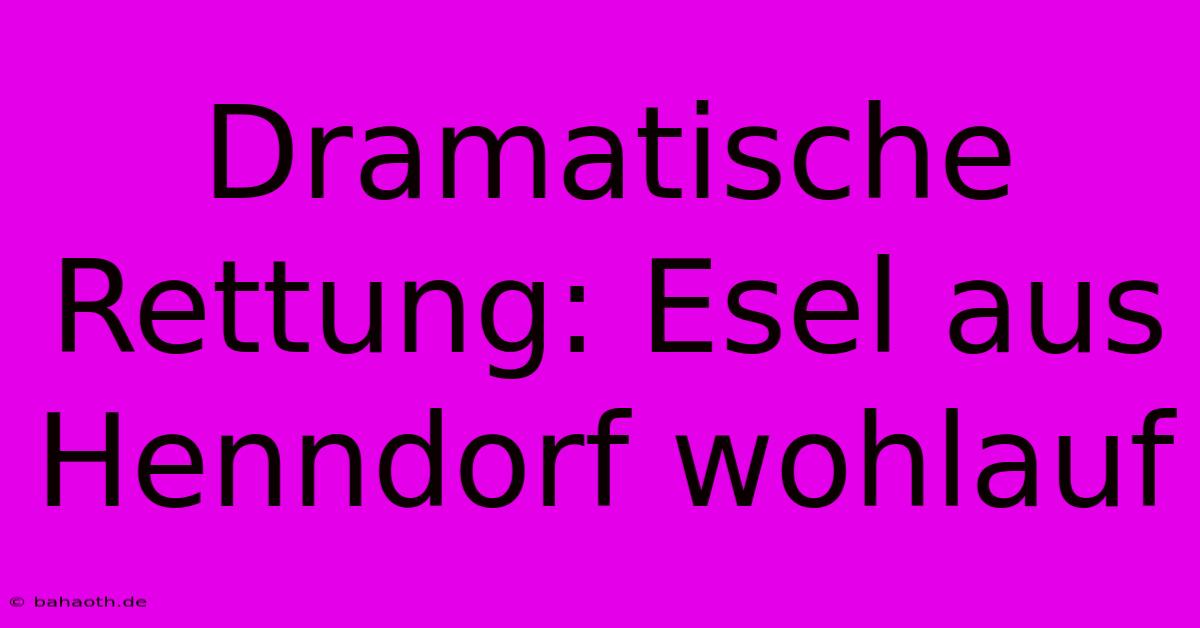 Dramatische Rettung: Esel Aus Henndorf Wohlauf