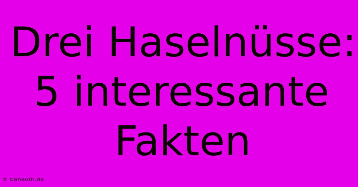 Drei Haselnüsse: 5 Interessante Fakten