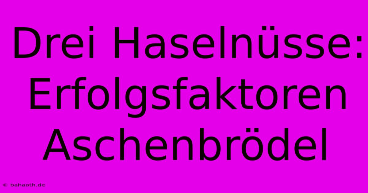 Drei Haselnüsse: Erfolgsfaktoren Aschenbrödel