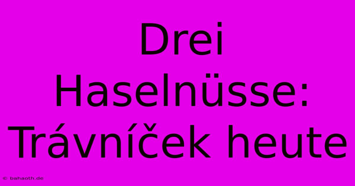 Drei Haselnüsse: Trávníček Heute