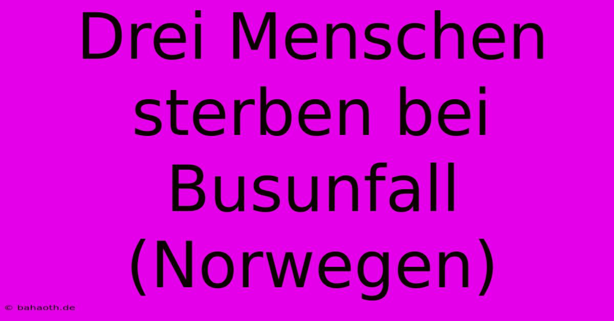 Drei Menschen Sterben Bei Busunfall (Norwegen)