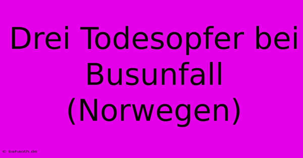 Drei Todesopfer Bei Busunfall (Norwegen)