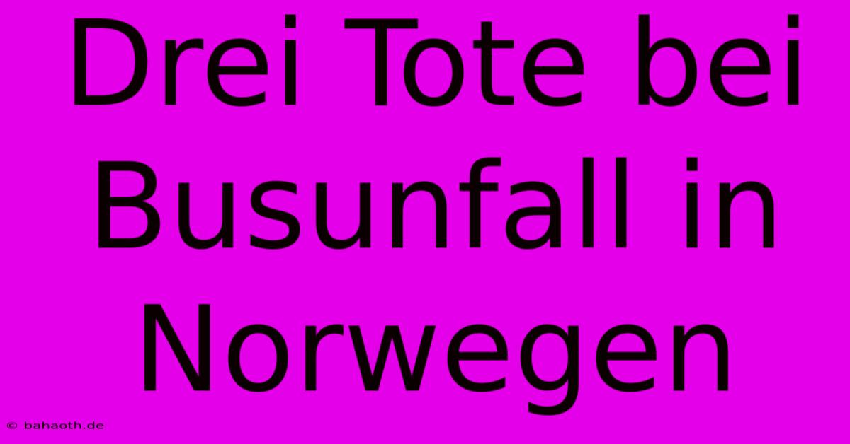 Drei Tote Bei Busunfall In Norwegen